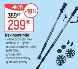 Globus Trekingové hole nabídka