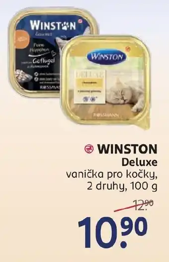 Rossmann WINSTON Deluxe nabídka