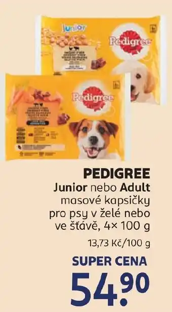 Rossmann Pedigree nabídka