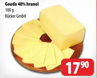 Partner Maloobchodní síť Gouda 48% hranol nabídka