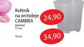 Fortel Květník na orchideje CAMBRIA nabídka