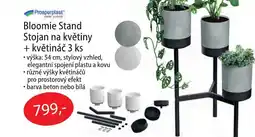 Fortel Bloomie Stand Stojan na květiny + květináč nabídka