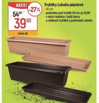 Globus Truhlíky Lobelia plastové nabídka