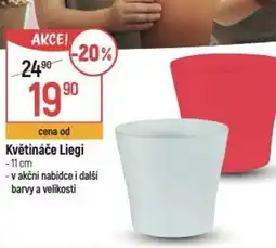 Globus Květináče Liegi nabídka