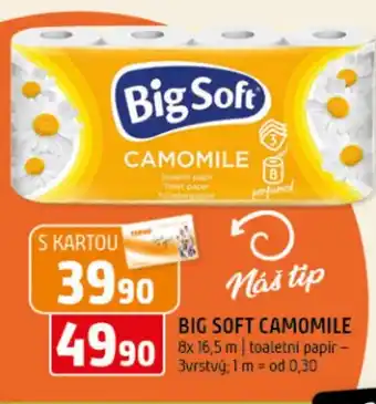 Terno Big Soft Camomile nabídka