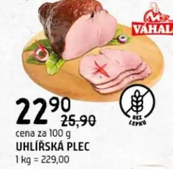 Terno Uhlířská plec nabídka