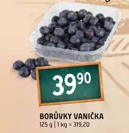 Terno Borůvky vanička nabídka