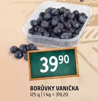 Terno Borůvky vanička nabídka