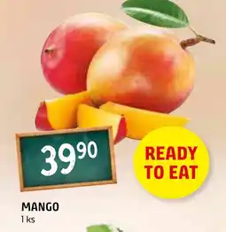 Terno Mango nabídka