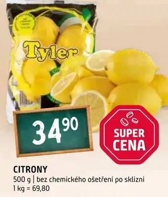 Terno Citrony nabídka