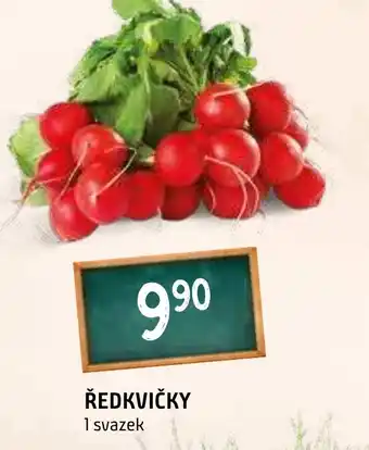 Terno Ředkvičky nabídka