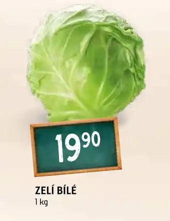 Terno Zelí bílé nabídka