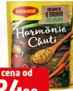 Terno MAGGI Harmonie chuti nabídka