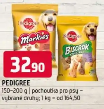 Terno PEDIGREE nabídka