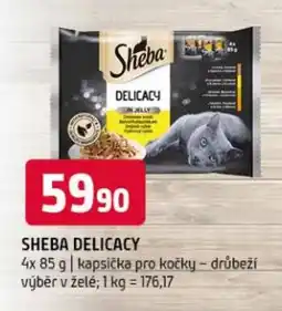 Terno SHEBA Delicacy nabídka