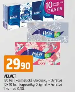 Terno VELVET nabídka