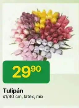 Hruška Tulipán nabídka