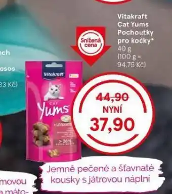 Tesco Vitakraft cat ymus pochoutky pro kočky nabídka