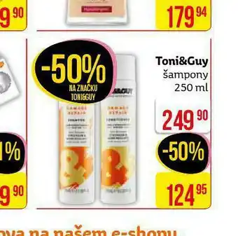 Teta Toni&amp;guy šampon nabídka