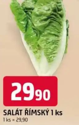 Trefa Salát římský nabídka