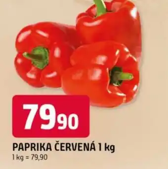 Trefa Paprika červená nabídka