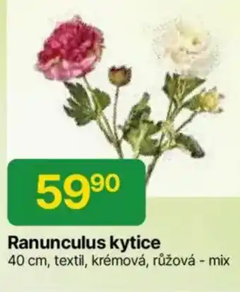 Hruška Ranunculus kytice nabídka