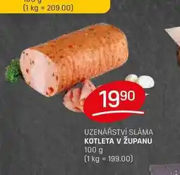 Flop KOTLETA V ŽUPANU 100 g nabídka