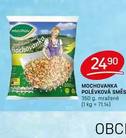 Flop MOCHOVANKA POLÉVKOVÁ SMĚS 350 g nabídka