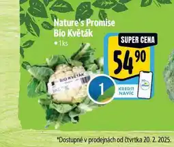 Albert Nature's Promise Bio Květák 1ks nabídka