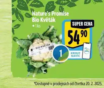 Albert Nature's Promise Bio Květák 1ks nabídka