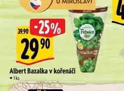 Albert Albert Bazalka v kořenáči 1ks nabídka