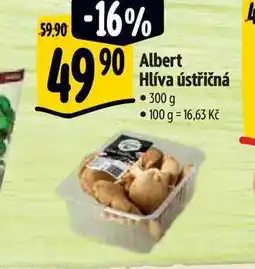 Albert Albert Hlíva ústřičná 300 g nabídka