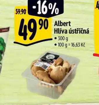 Albert Albert Hlíva ústřičná 300 g nabídka