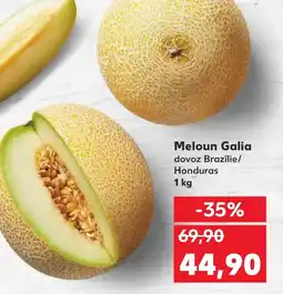Kaufland Meloun Galia nabídka