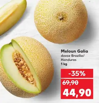 Kaufland Meloun Galia nabídka