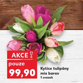 Kaufland Kytice tulipány mix barev nabídka