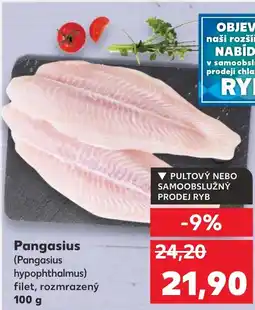 Kaufland Pangasius nabídka