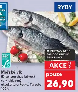 Kaufland Mořský vlk nabídka