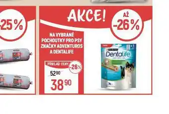 Globus Dentalife pochoutky pro psy nabídka