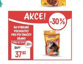 Globus Grand pochoutky pro psy nabídka