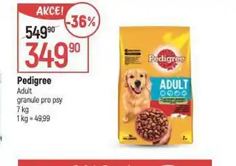 Globus Pedigree adult granule pro psy nabídka