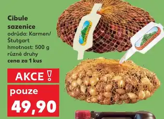 Kaufland Cibule sazenice nabídka