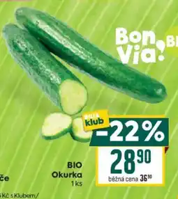 Billa BIO Okurka nabídka