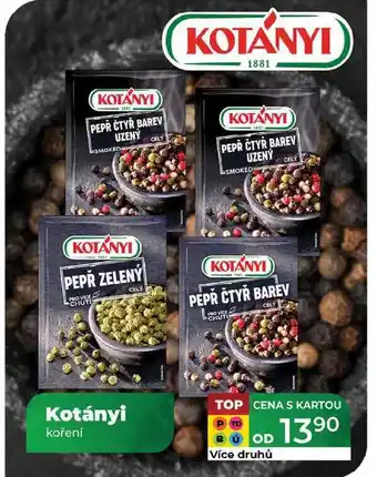 Tamda Foods Kotányi koření nabídka