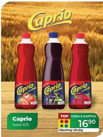 Tamda Foods Caprio hustý 0,7L nabídka