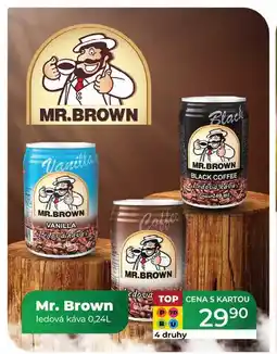 Tamda Foods Mr. Brown ledová káva 0,24L nabídka