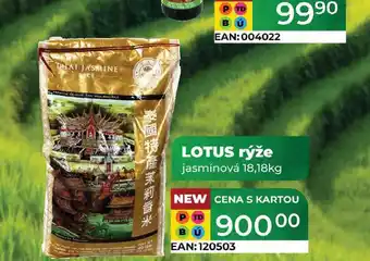 Tamda Foods LOTUS rýže jasmínová 18,18kg nabídka