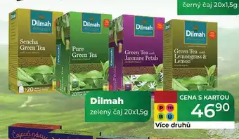 Tamda Foods Dilmah zelený čaj 20x1,5g nabídka