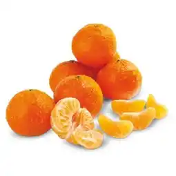 Terno Mandarinky 1 kg nabídka