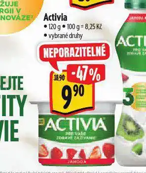 Albert Activia nabídka